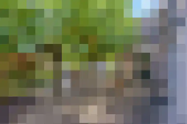 Menno van Coehoornstraat 39 Sloten thumbnail 28