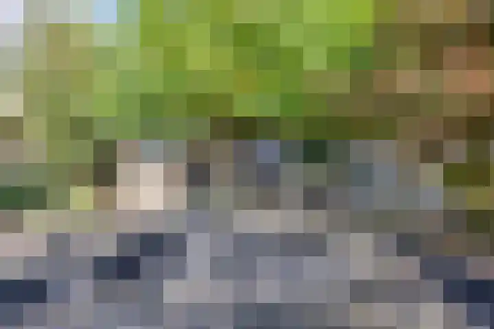 Menno van Coehoornstraat 39 Sloten thumbnail 31