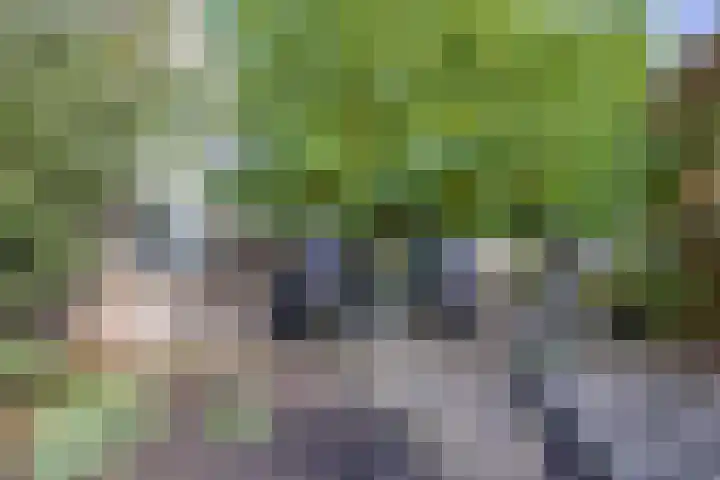 Menno van Coehoornstraat 39 Sloten thumbnail 33