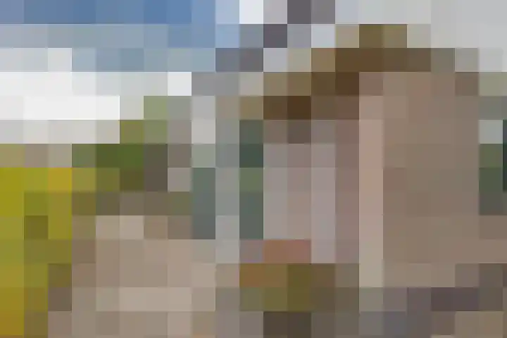 Menno van Coehoornstraat 39 Sloten thumbnail 36