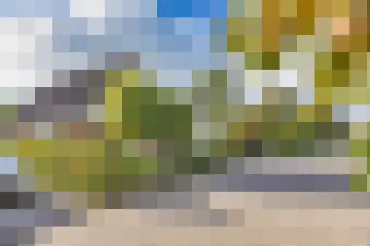 Menno van Coehoornstraat 39 Sloten thumbnail 37