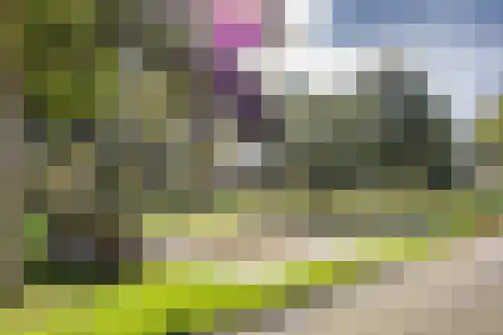 Menno van Coehoornstraat 39 Sloten thumbnail 41