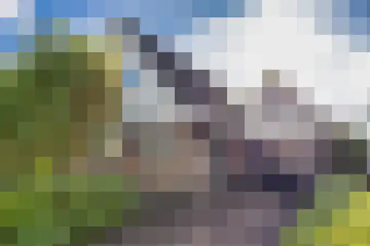 Menno van Coehoornstraat 39 Sloten thumbnail 5
