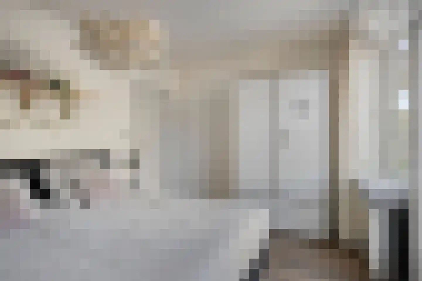 Menno van Coehoornstraat 44 B Maastricht thumbnail 19