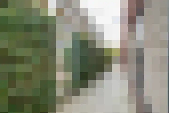 Menno van Coehoornstraat 53 Breda thumbnail 34
