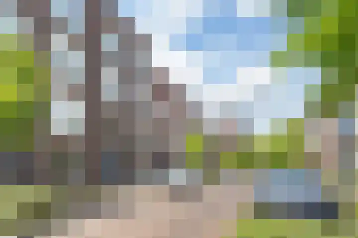 Menno van Coehoornstraat 53 Breda thumbnail 35