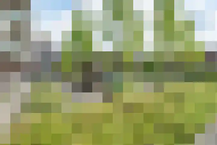 Menno van Coehoornstraat 53 Breda thumbnail 37