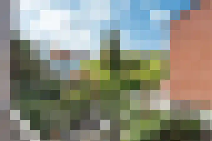 Menno van Coehoornstraat 9 Breda thumbnail 24