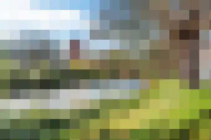 Menno van Coehoornstraat 9 Breda thumbnail 43