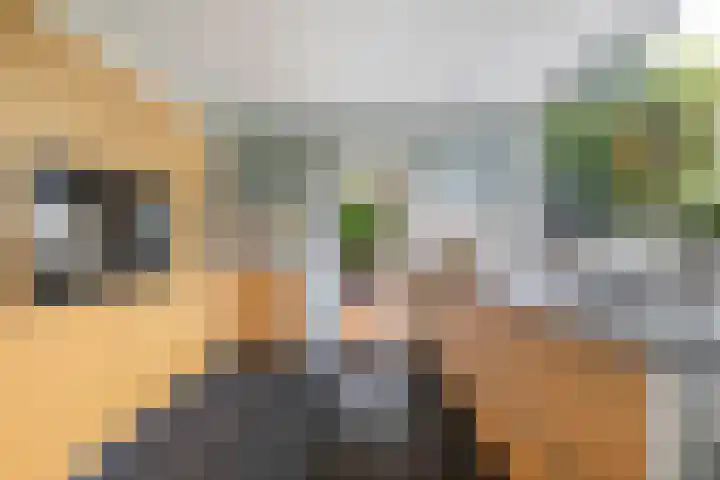 Menno van Coehoornwei 19 Britsum thumbnail 12