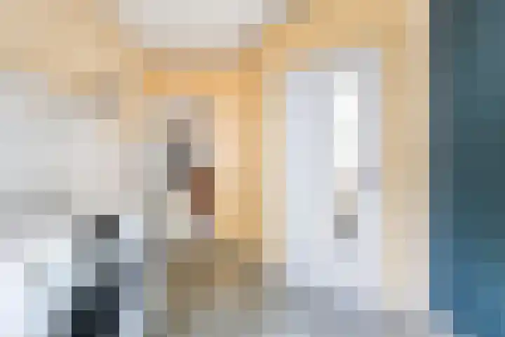 Menno van Coehoornwei 19 Britsum thumbnail 18