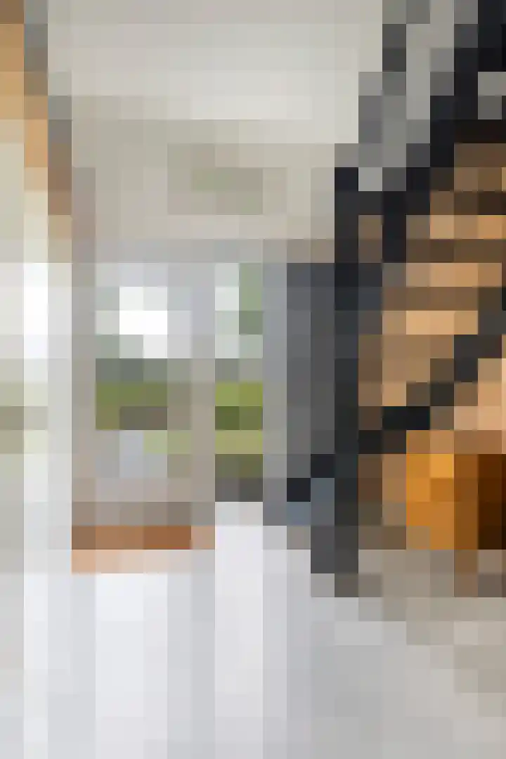 Menno van Coehoornwei 19 Britsum thumbnail 22