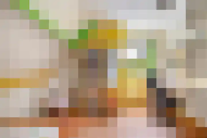 Menno van Coehoornwei 19 Britsum thumbnail 28