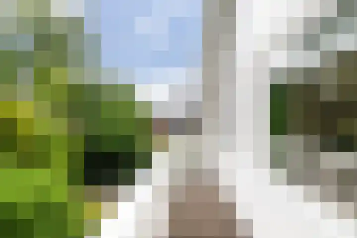 Menno van Coehoornwei 19 Britsum thumbnail 32