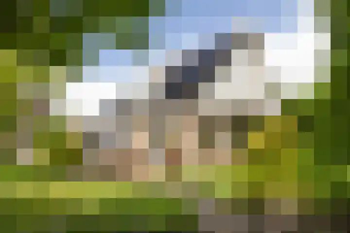Menno van Coehoornwei 19 Britsum thumbnail 43