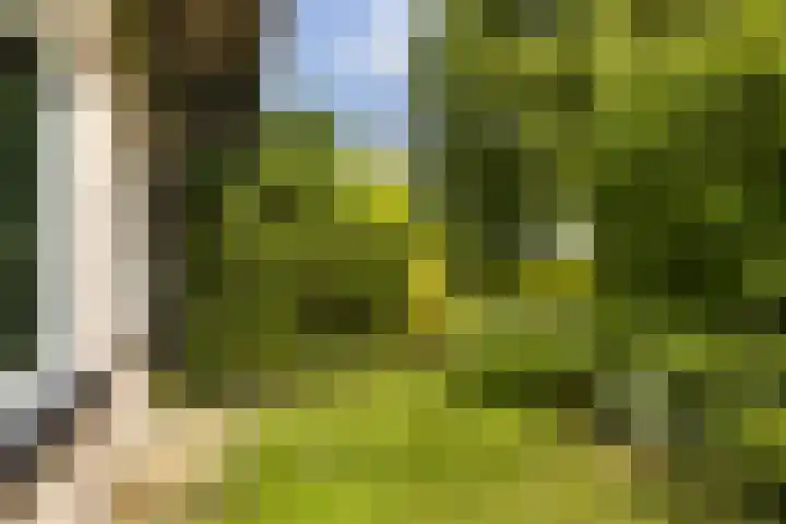 Menno van Coehoornwei 19 Britsum thumbnail 44