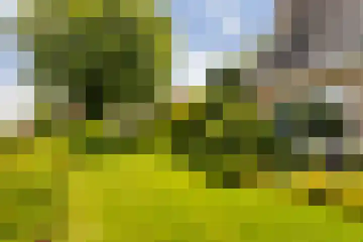 Menno van Coehoornwei 19 Britsum thumbnail 45