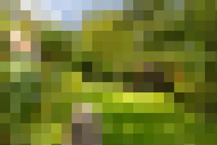 Menno van Coehoornwei 19 Britsum thumbnail 46