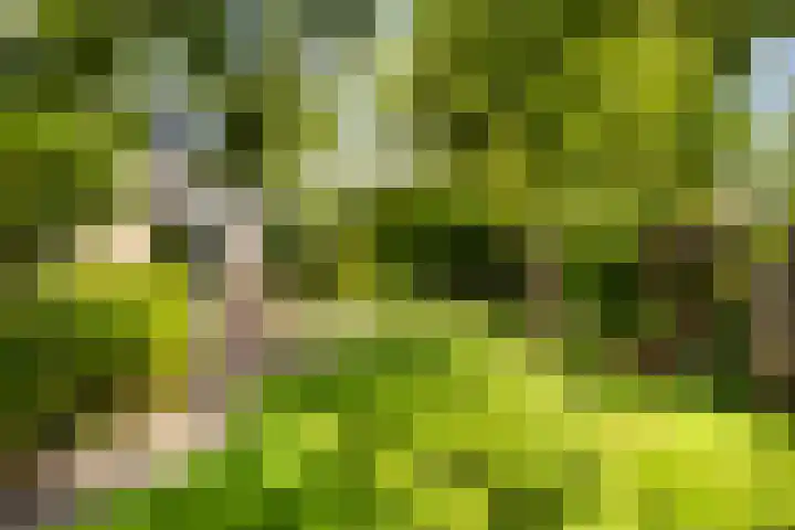 Menno van Coehoornwei 19 Britsum thumbnail 47