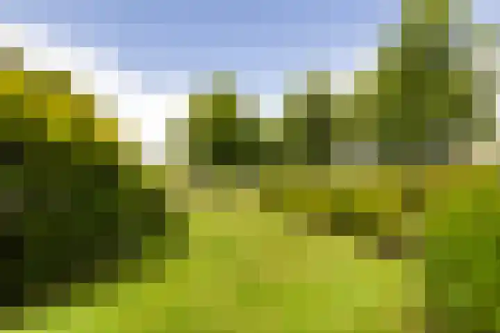 Menno van Coehoornwei 19 Britsum thumbnail 48