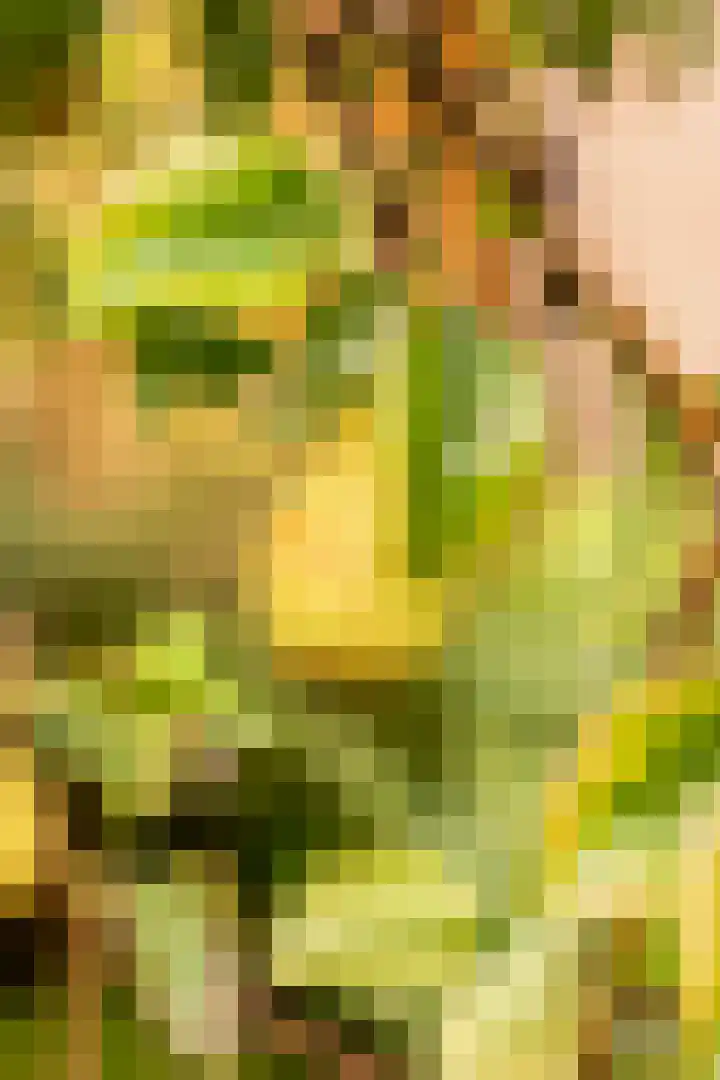 Menno van Coehoornwei 19 Britsum thumbnail 49