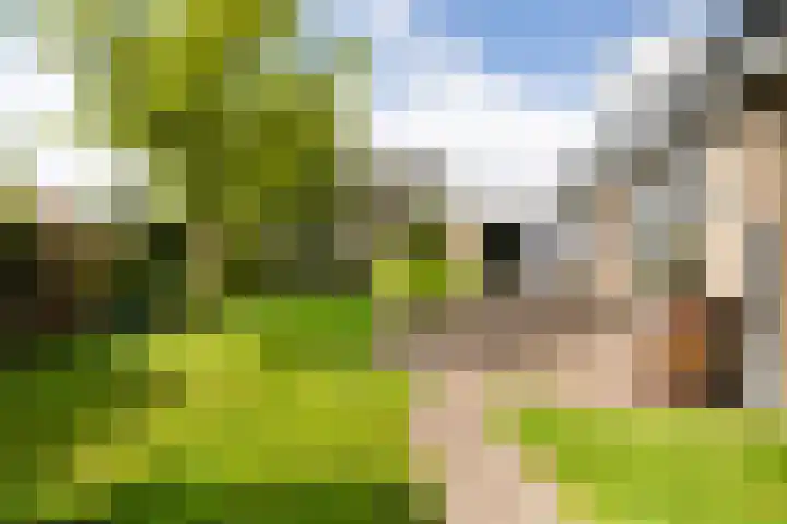 Menno van Coehoornwei 19 Britsum thumbnail 5