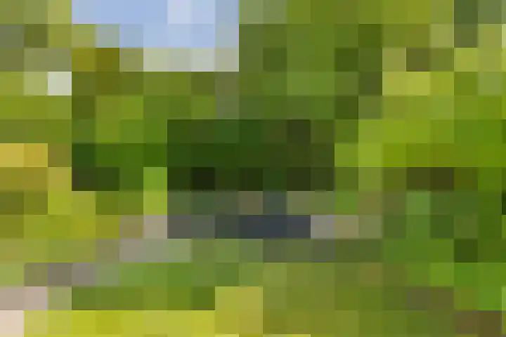 Menno van Coehoornwei 19 Britsum thumbnail 50