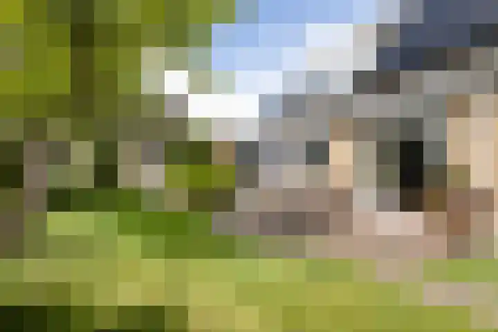 Menno van Coehoornwei 19 Britsum thumbnail 52
