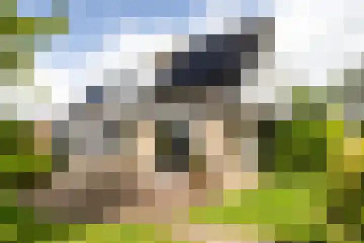 Menno van Coehoornwei 19 Britsum thumbnail 53