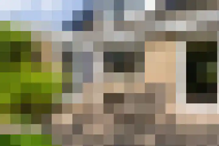 Menno van Coehoornwei 19 Britsum thumbnail 54