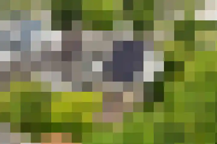 Menno van Coehoornwei 19 Britsum thumbnail 6
