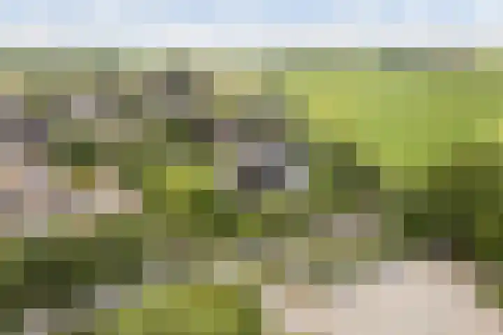 Menno van Coehoornwei 19 Britsum thumbnail 60