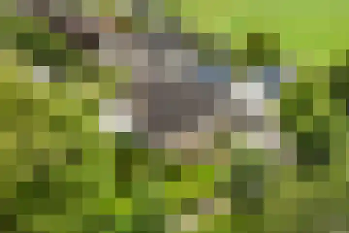 Menno van Coehoornwei 19 Britsum thumbnail 61