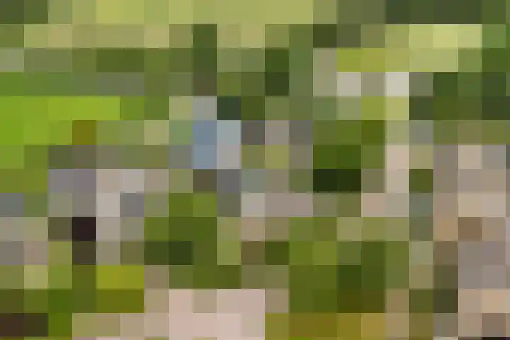 Menno van Coehoornwei 19 Britsum thumbnail 62