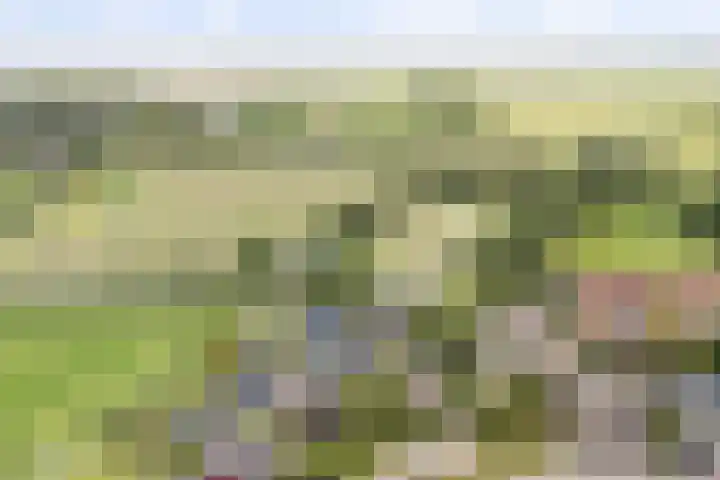 Menno van Coehoornwei 19 Britsum thumbnail 63