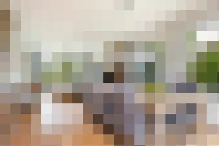 Menno van Coehoornwei 19 Britsum thumbnail 8