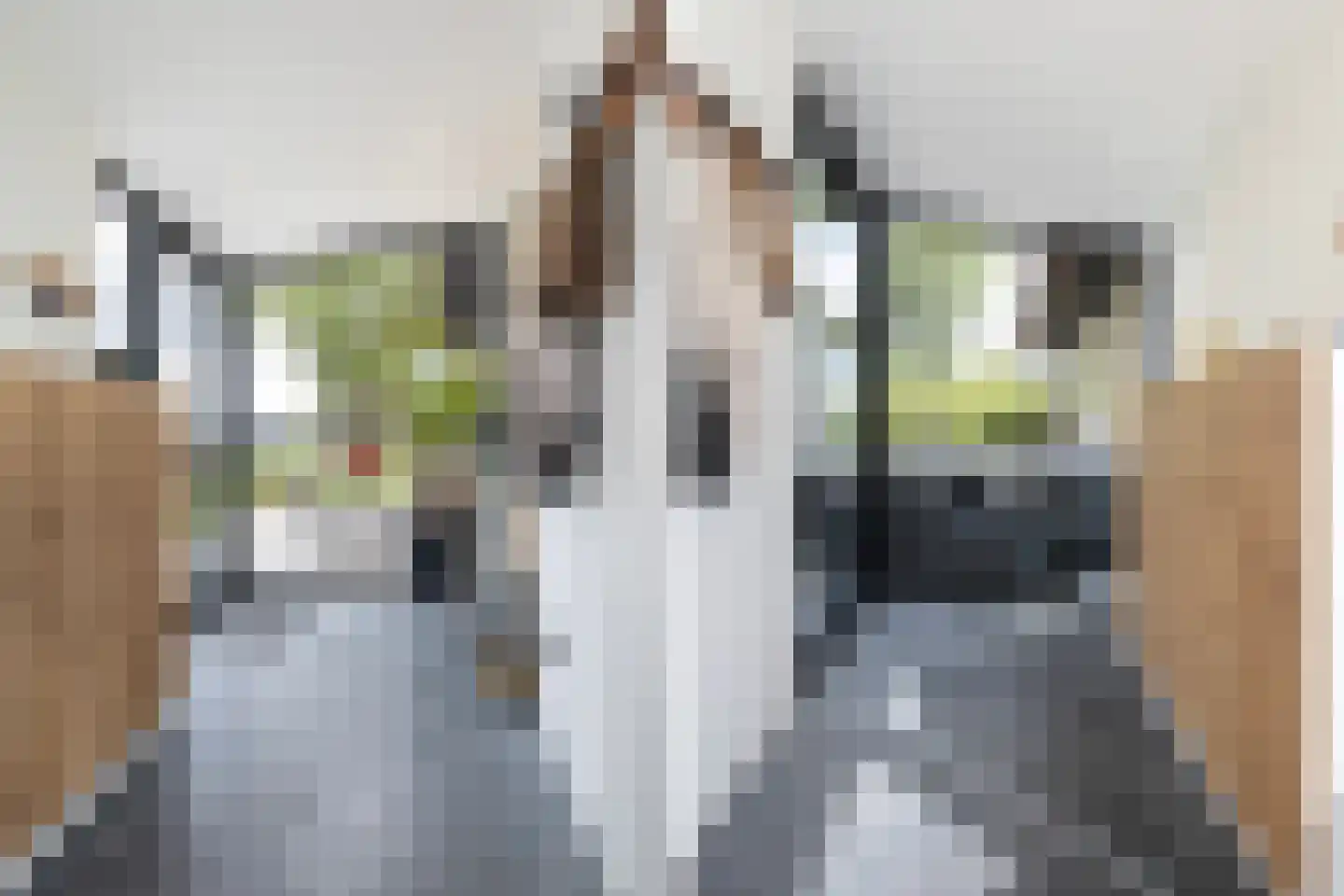 Menno van Coehoornwei 22 Britsum thumbnail 13