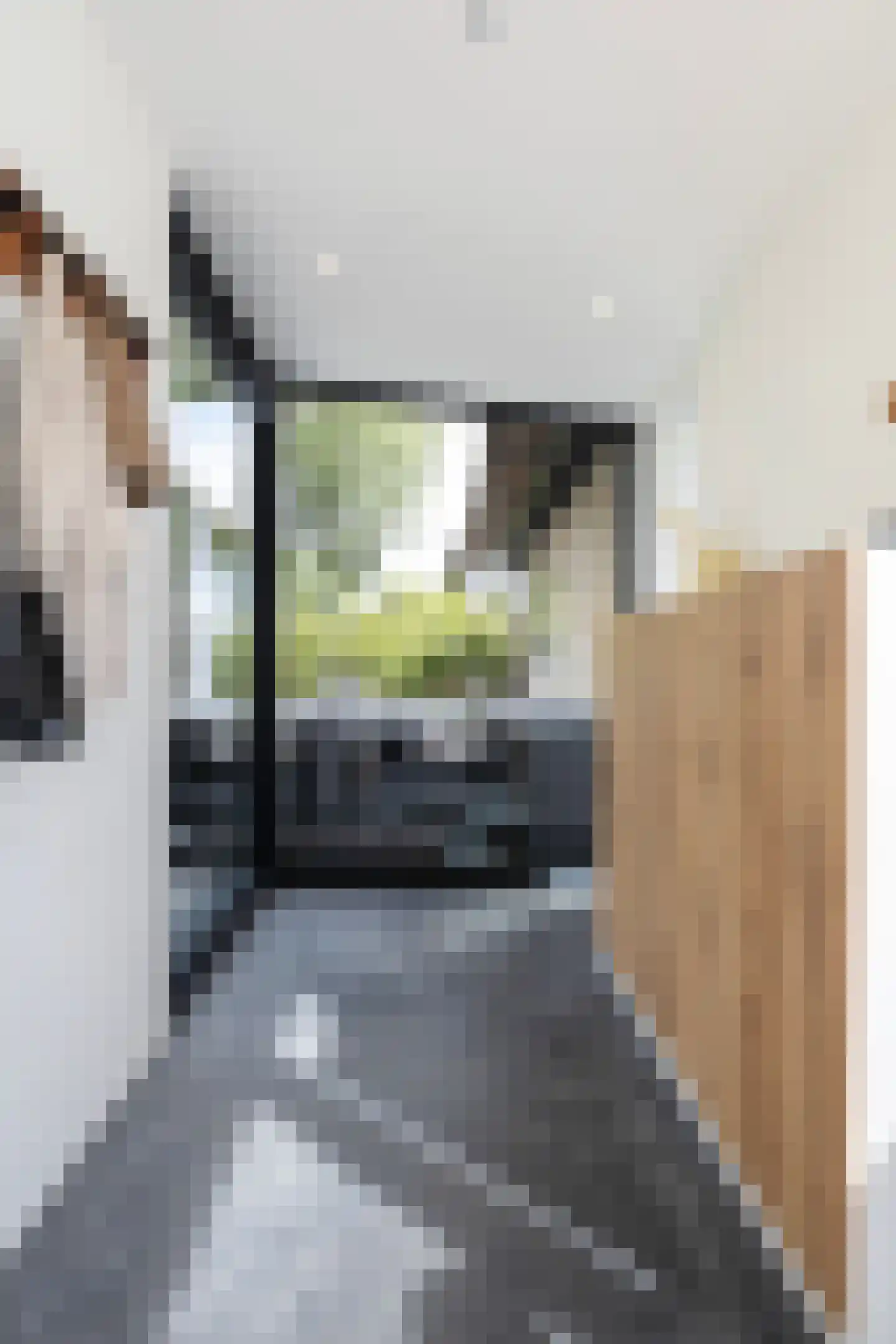 Menno van Coehoornwei 22 Britsum thumbnail 14