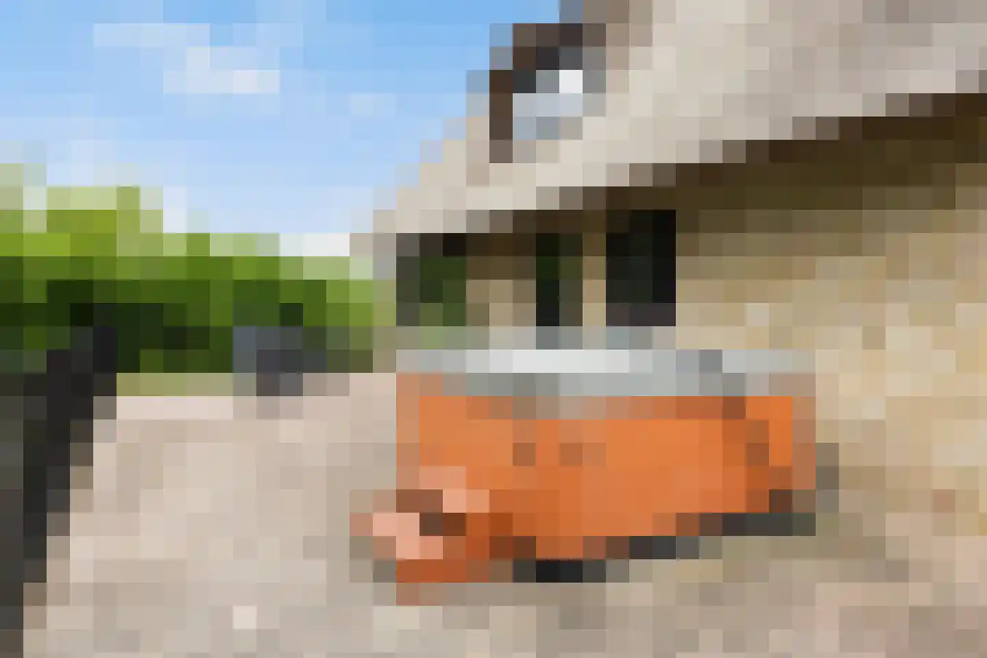 Menno van Coehoornwei 22 Britsum thumbnail 27