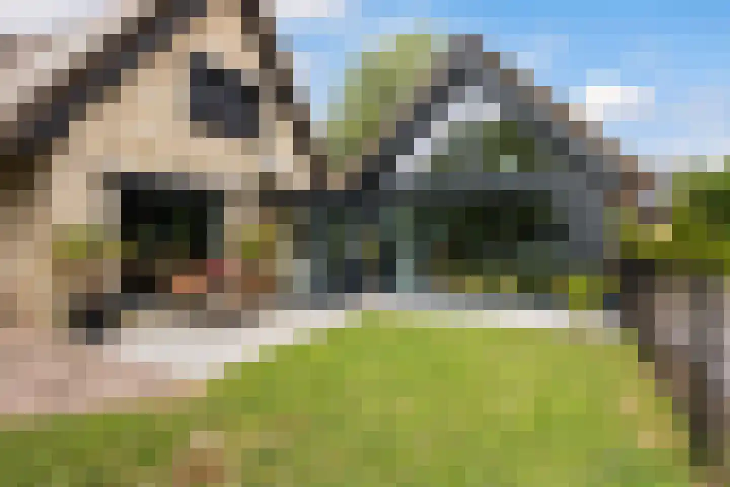 Menno van Coehoornwei 22 Britsum thumbnail 29