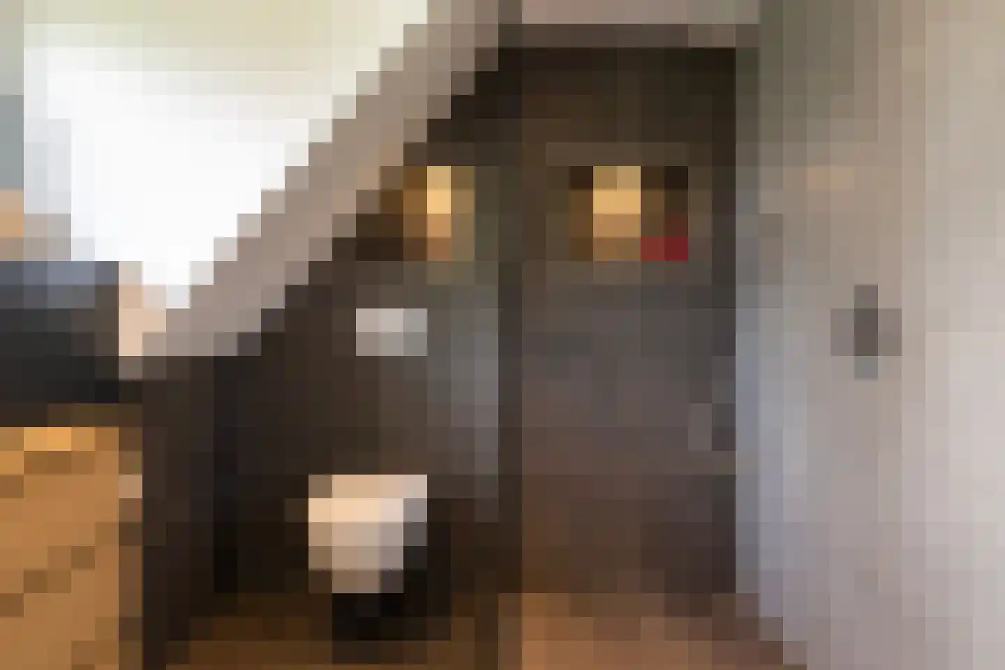 Menno van Coehoornwei 22 Britsum thumbnail 47