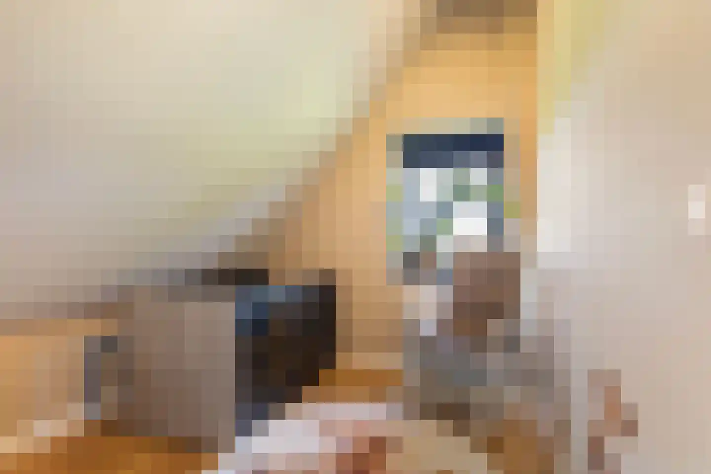 Menno van Coehoornwei 22 Britsum thumbnail 52