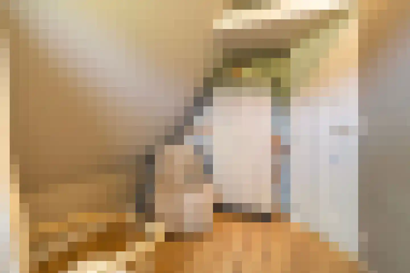 Menno van Coehoornwei 22 Britsum thumbnail 55