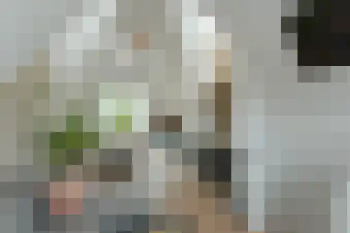 Mennonietenbuurt 112 Amstelhoek thumbnail 6