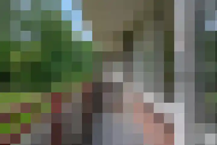 Mennonietenweg 17 Wageningen thumbnail 7