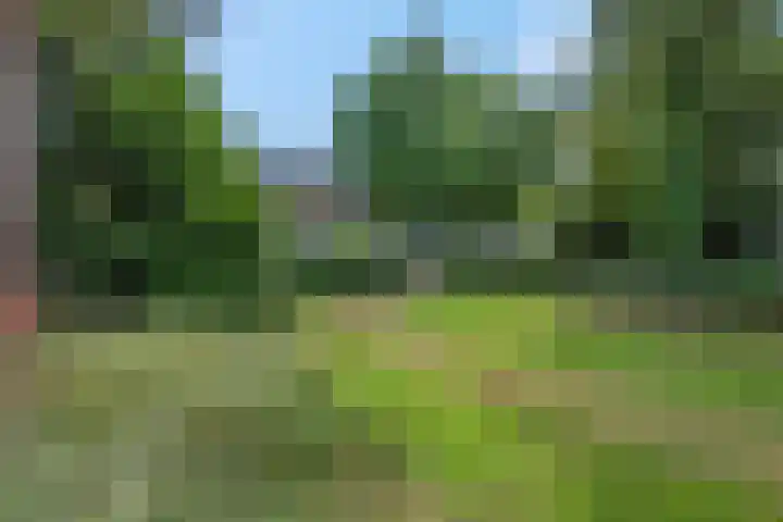 Mennonietenweg 17 Wageningen thumbnail 8