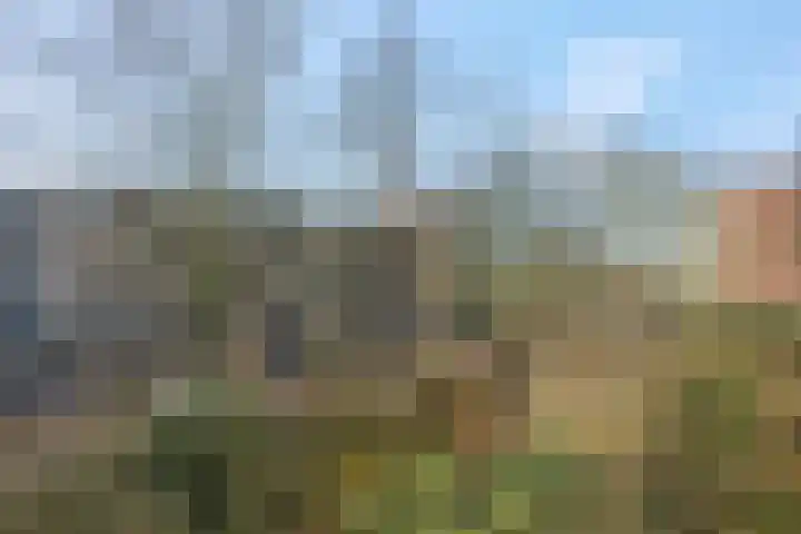 Mennonietenweg 47 Wageningen thumbnail 9