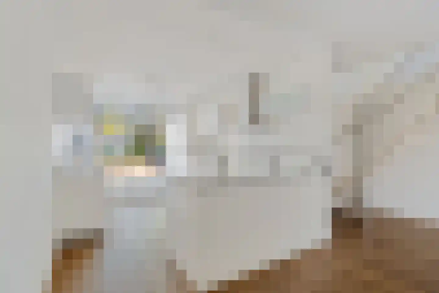 Menorcalaan 14 Rotterdam thumbnail 13