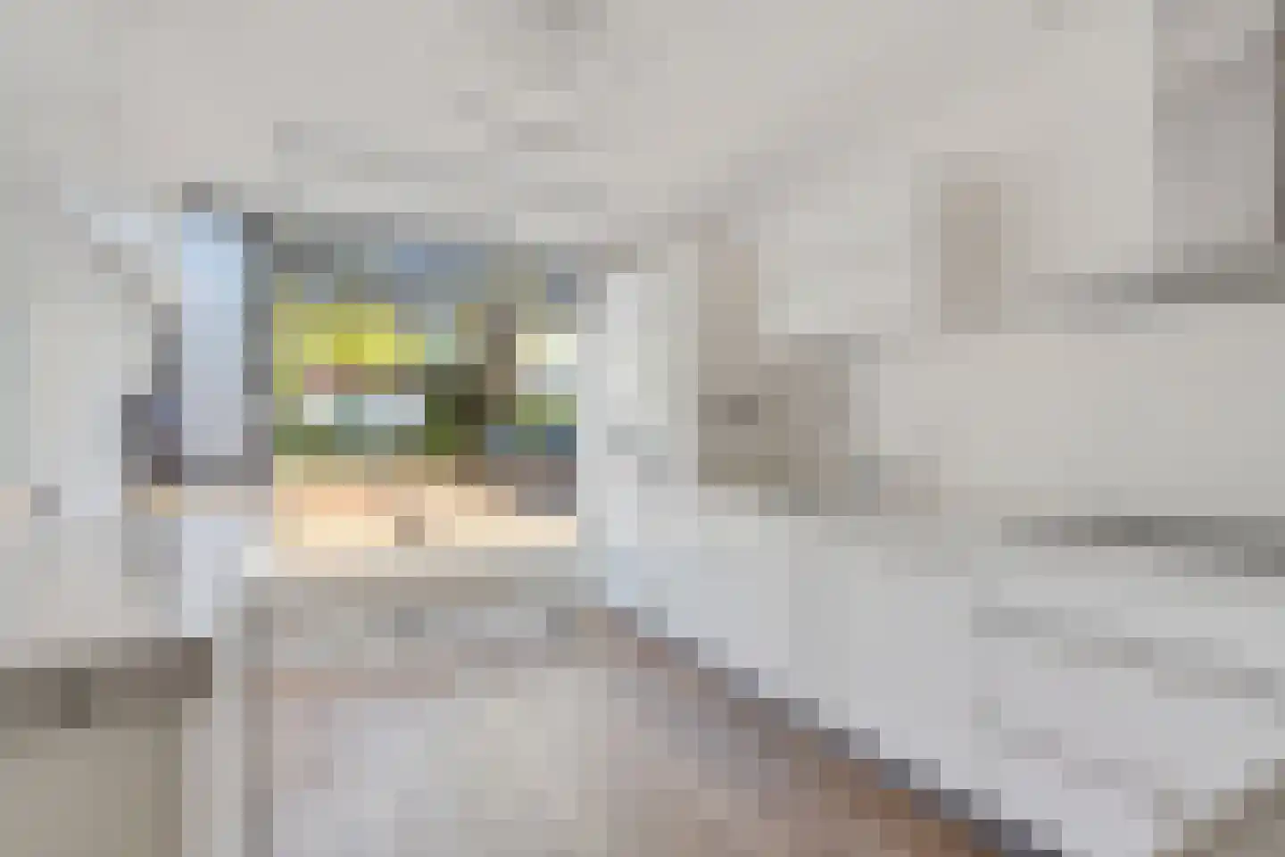 Menorcalaan 14 Rotterdam thumbnail 14