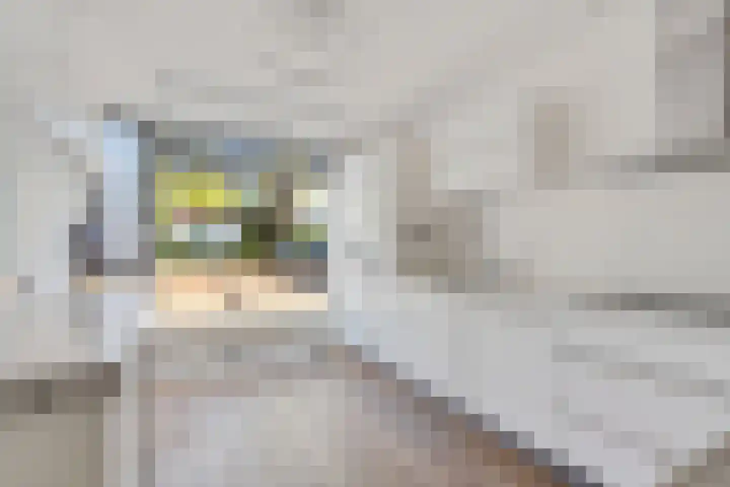 Menorcalaan 14 Rotterdam thumbnail 15